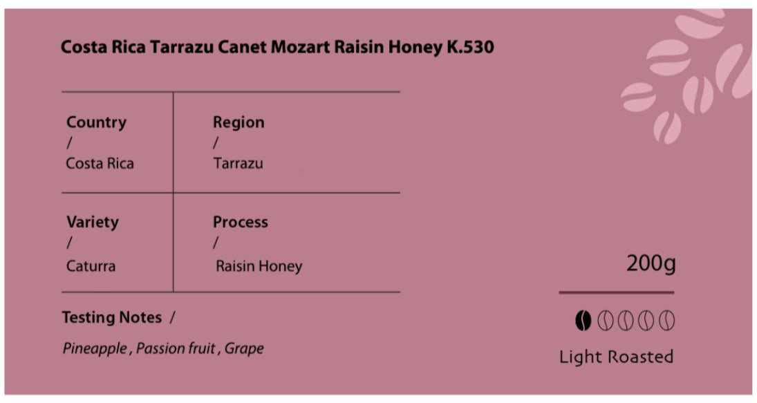 Costa Rica Tarrazu Canet Mozart Raisin Honey K.530