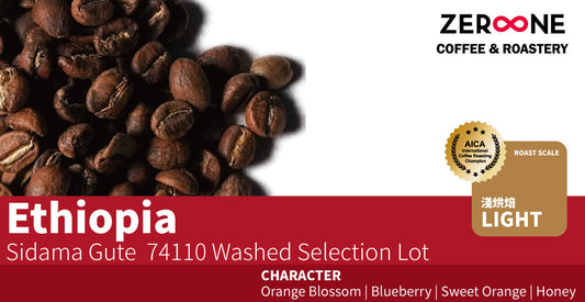 Ethiopia Sidama Gute  74110 Washed Selection Lot